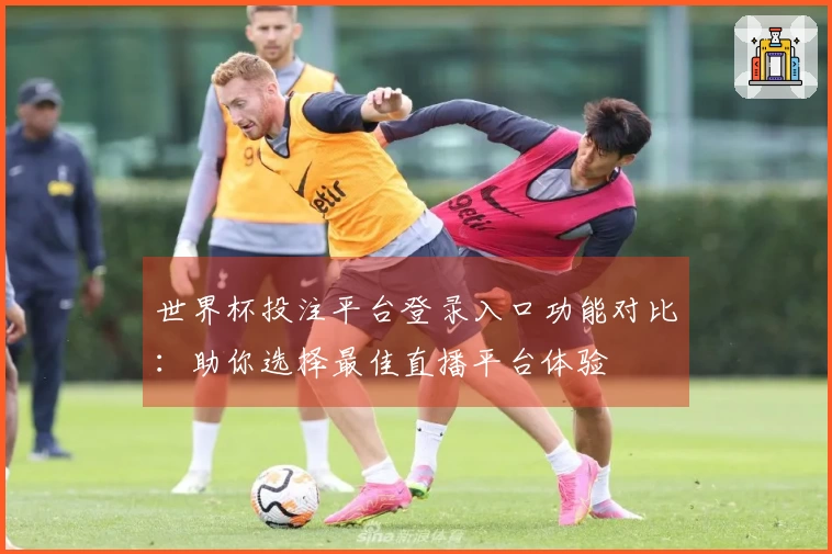 世界杯投注平台登录入口功能对比：助你选择最佳直播平台体验