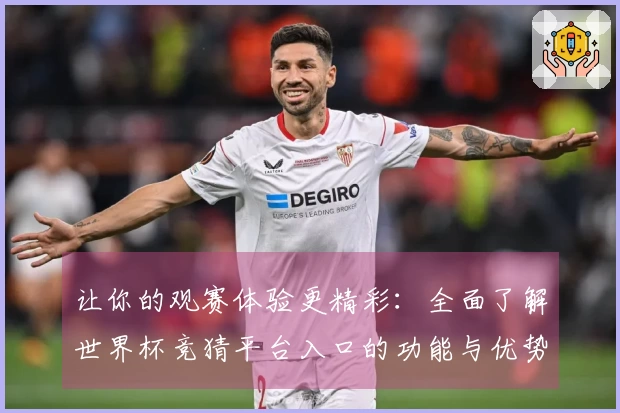 让你的观赛体验更精彩：全面了解世界杯竞猜平台入口的功能与优势